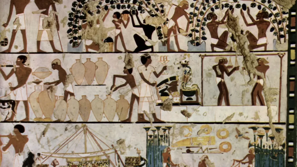 Kiến thức về rượu vang