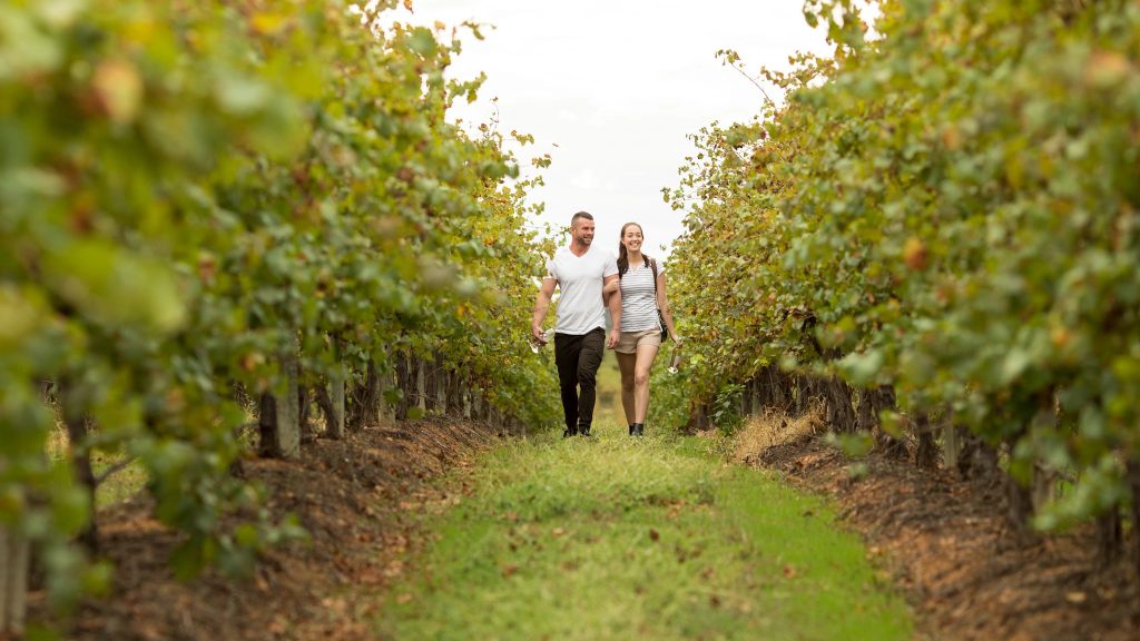 [KHÁM PHÁ VANG ÚC] HƯƠNG VỊ CỦA RƯỢU VANG KAROONDA SHIRAZ 